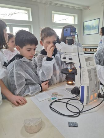 viber image 2025 03 17 13 23 05 460