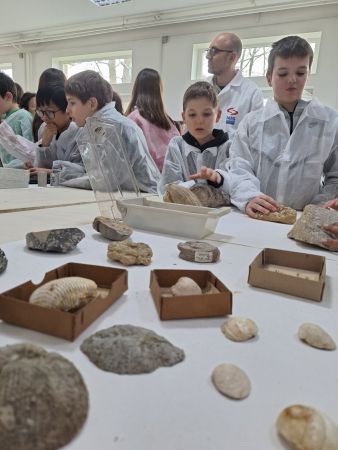 viber image 2025 03 17 13 23 05 494