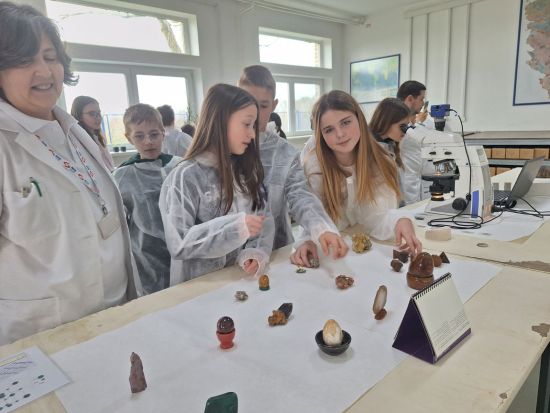 viber image 2025 03 17 13 23 05 585