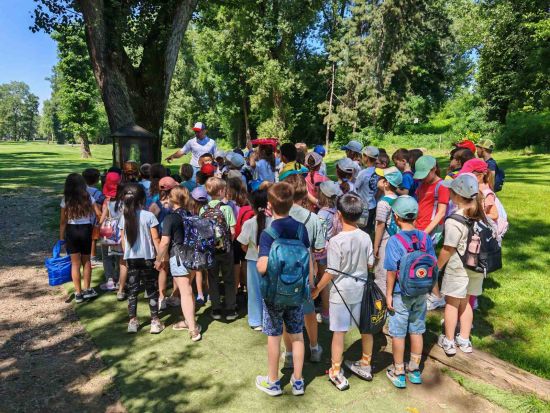 IMG 49fa19bd4f70b32e3a5b1a12346ae2b8 V