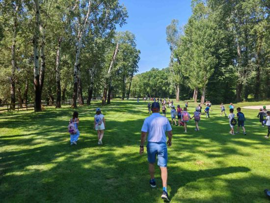 IMG 6ec9a6101375861421563f4c2e95bf31 V