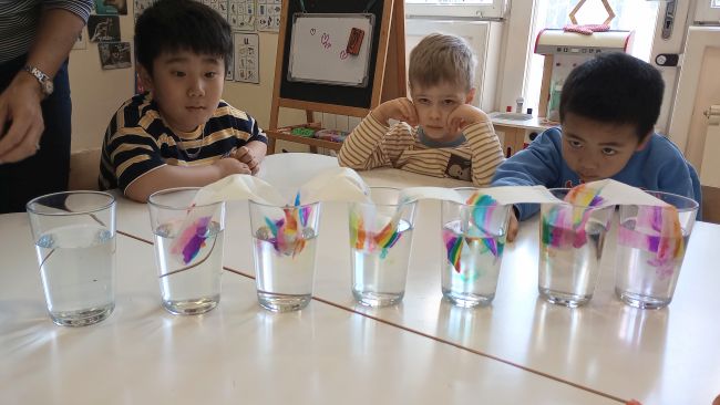 IMG 20260313 110933637 IMG 20260313 110933637