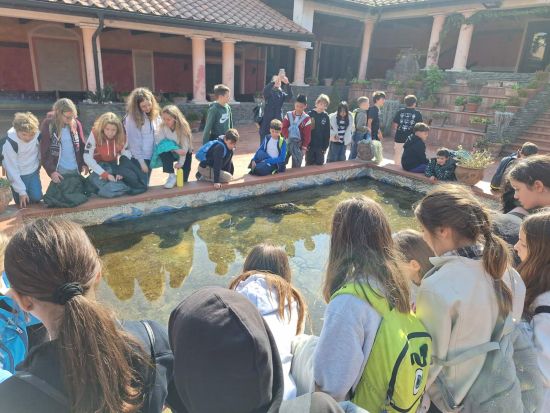 viber image 2025 10 16 11 49 21 064