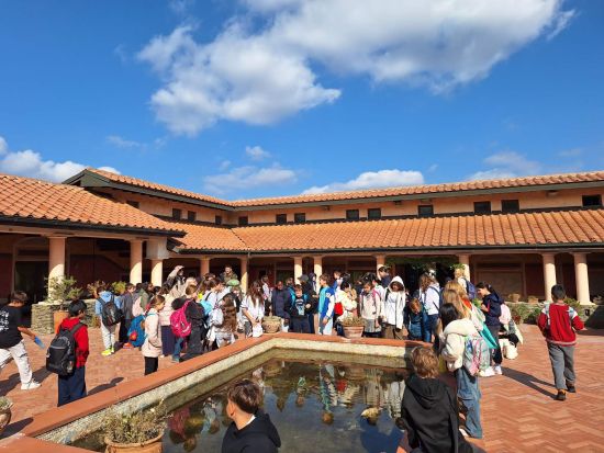 viber image 2025 10 16 11 49 21 253