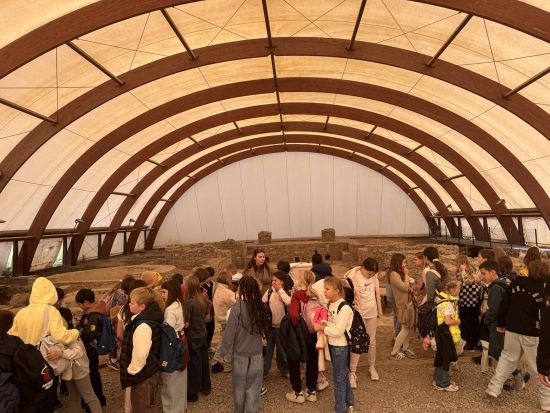 viber image 2025 10 16 13 00 14 998