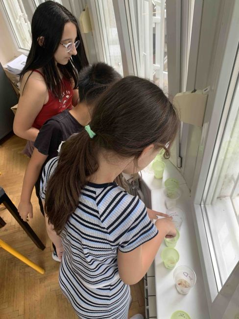 viber image 2025 09 25 09 21 22 245