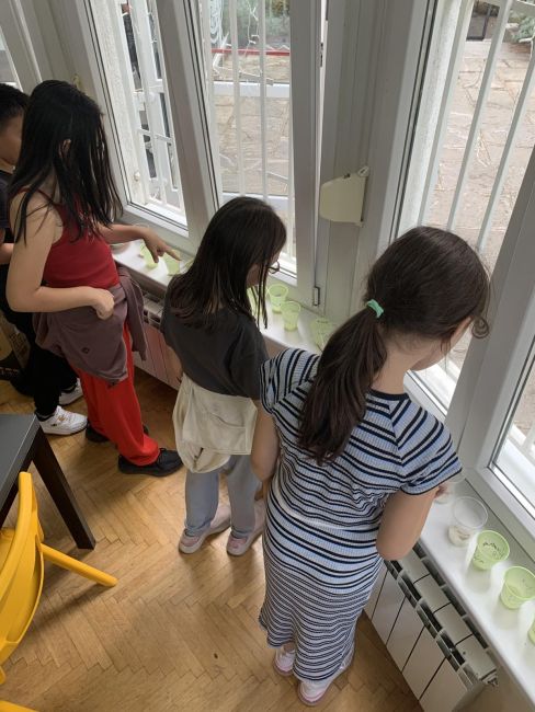 viber image 2025 09 25 09 21 40 596