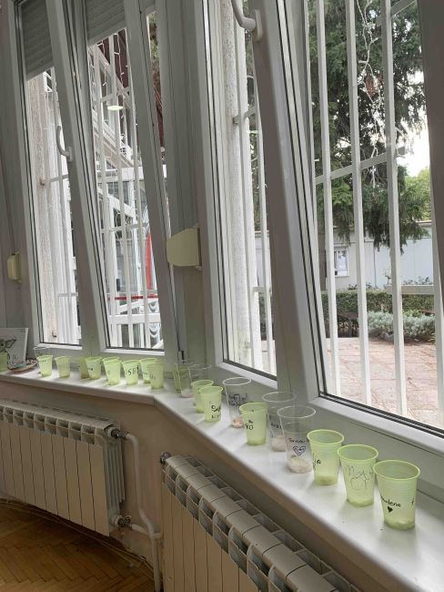 viber image 2025 09 25 09 21 46 323