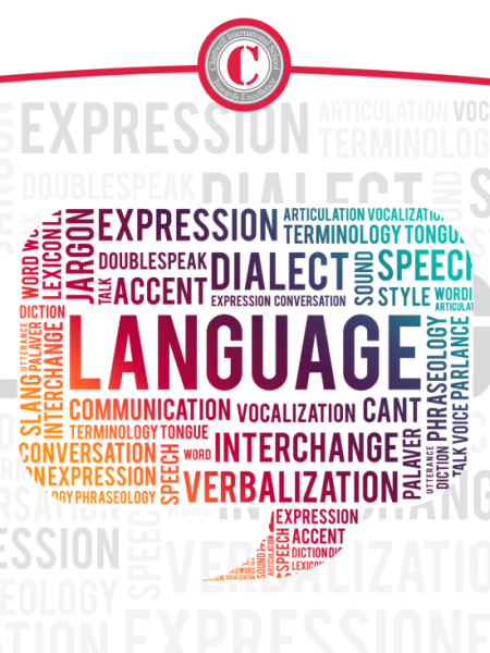 Year 13 English Language Update