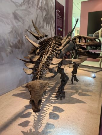 Natural History Centre of Serbia Svilajnac