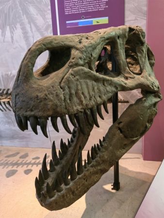 Natural History Centre of Serbia Svilajnac 2