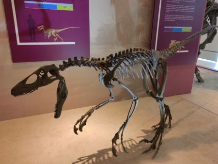 Natural History Centre of Serbia Svilajnac 3