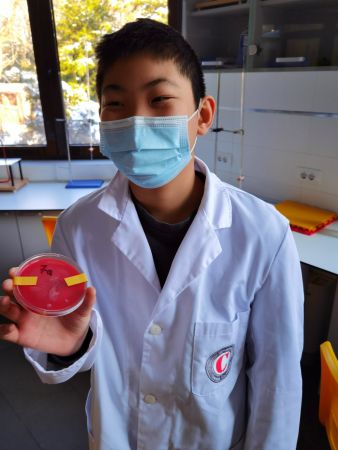 IMG 4bf514a6d207f212393bebdae556f4a9 V