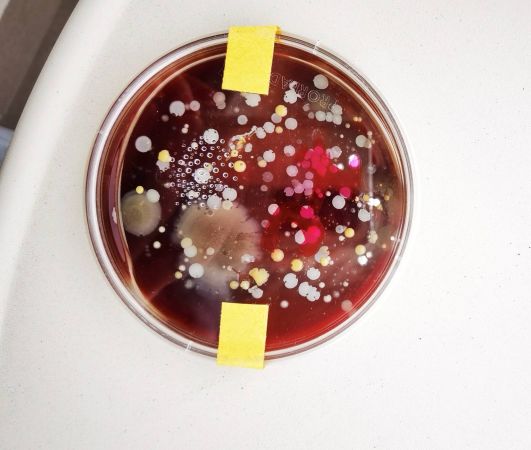 IMG ed511d058e377030dec27f464099d537 V