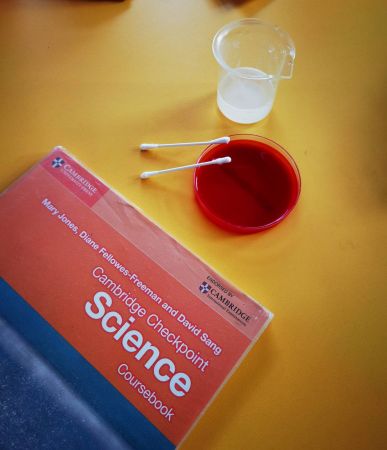 IMG f7f455169060d4de4225eb94e0465cfc V