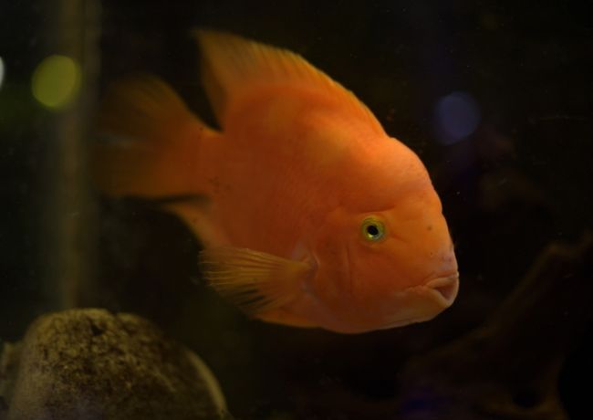 430112475 902502588552030 3040122869601739234 N 430112475 902502588552030 3040122869601739234 n