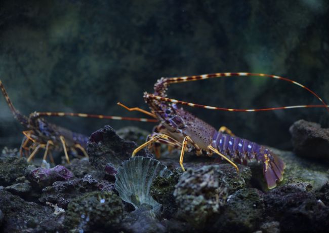 430796400 902502575218698 2948622111384721477 N 430796400 902502575218698 2948622111384721477 n