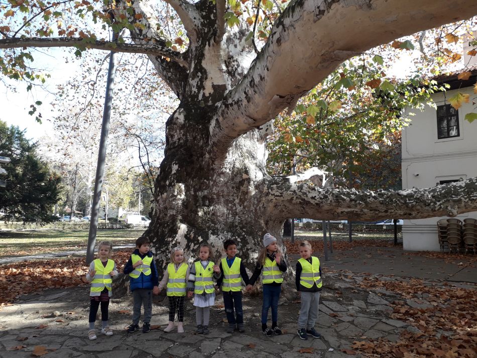 20181106 110534 20181106 110534