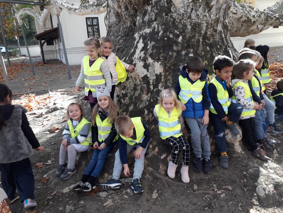 20181106 110913 20181106 110913