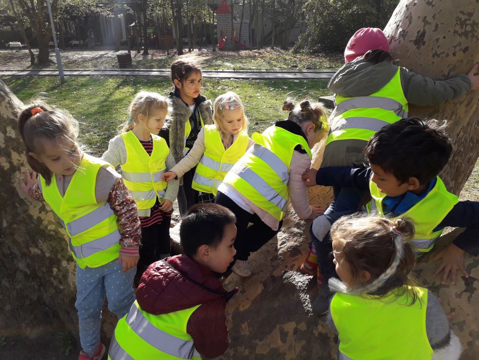 20181106 114720 20181106 114720