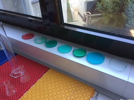 a look inside our science lab 11