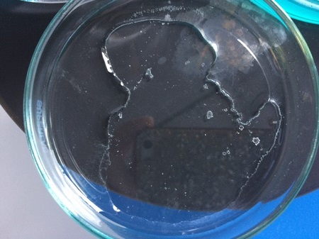 a look inside our science lab 5