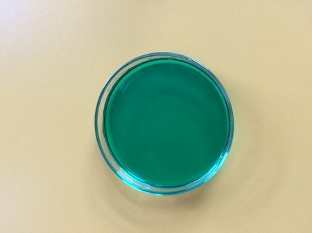 a look inside our science lab 6